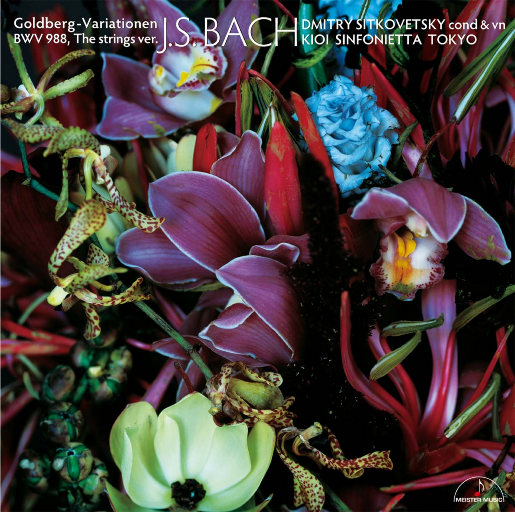 台湾男男爆菊gay无套
